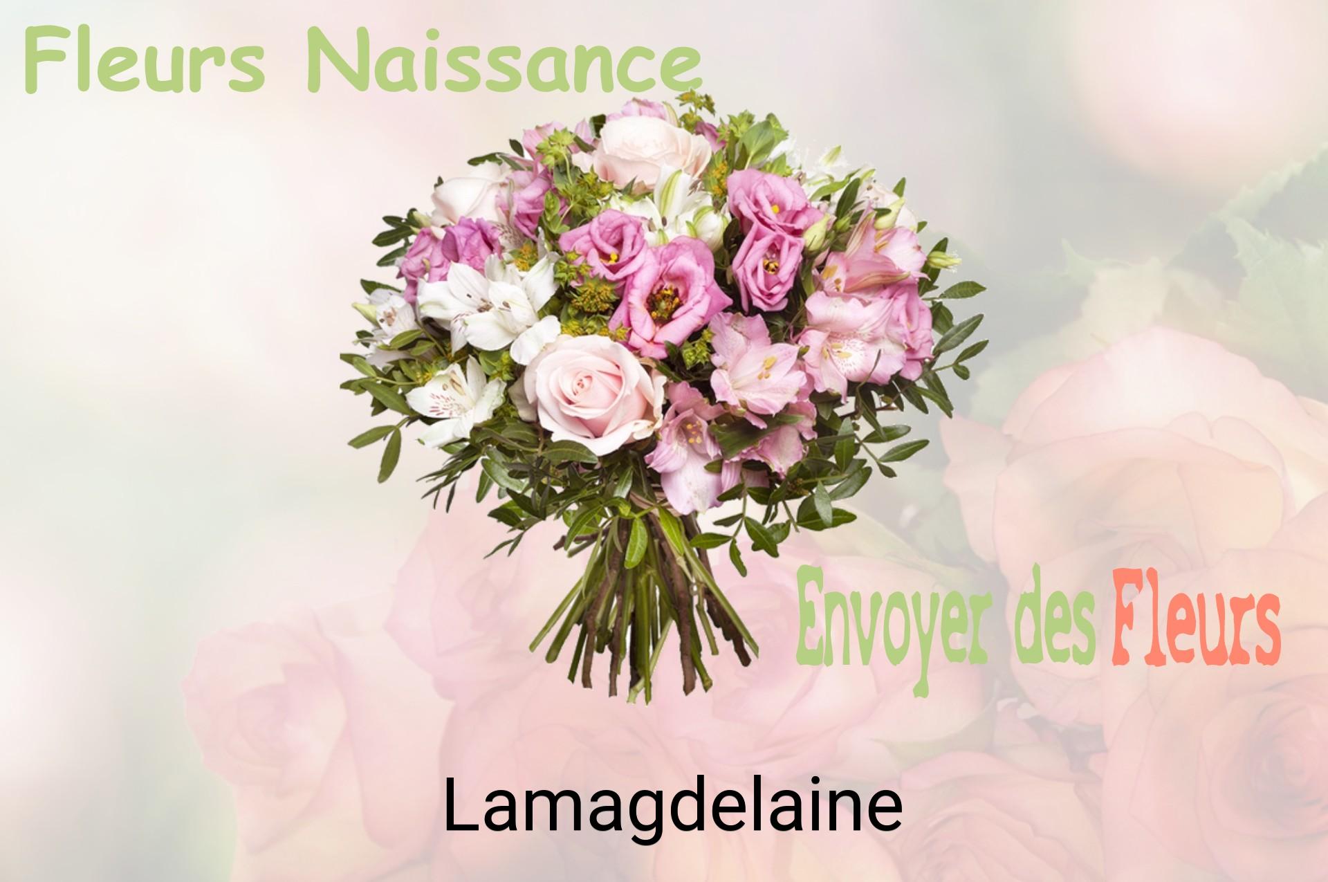 Bouquet de fleurs de naissance livré à Lamagdelaine